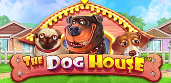 the dog house slot free spins