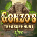 gonzo's treasure hunt