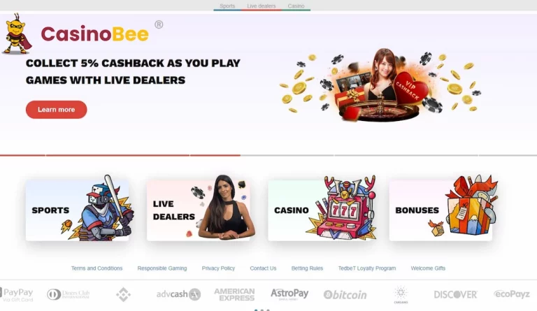 Experience Thrills at Tedbet Casino